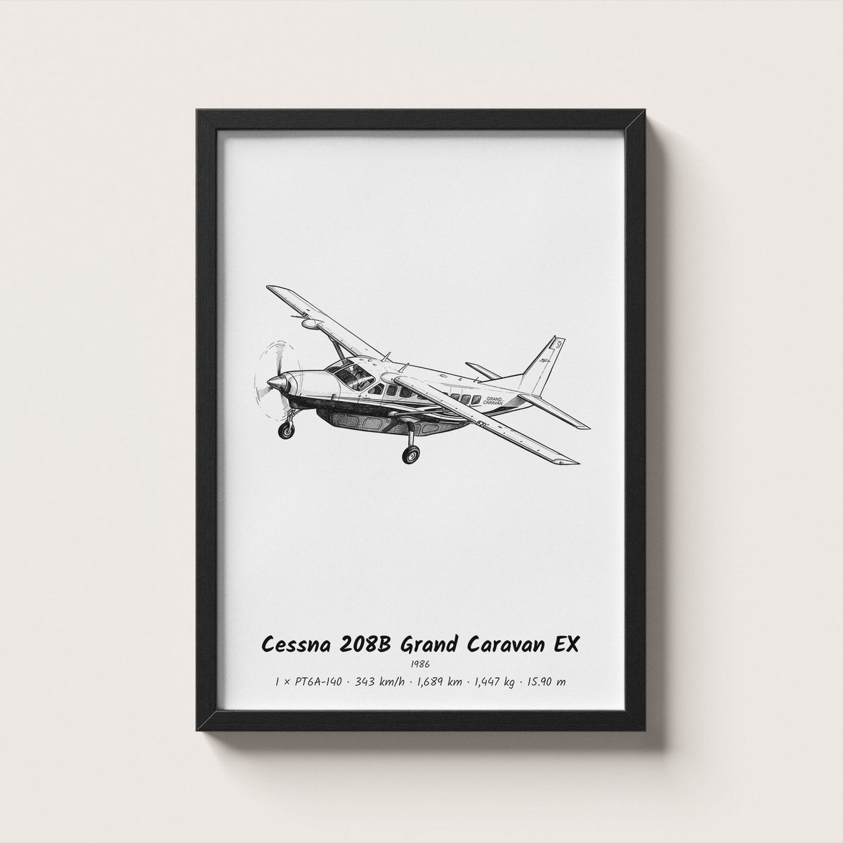 Cessna 208B Grand Caravan EX Wall Art