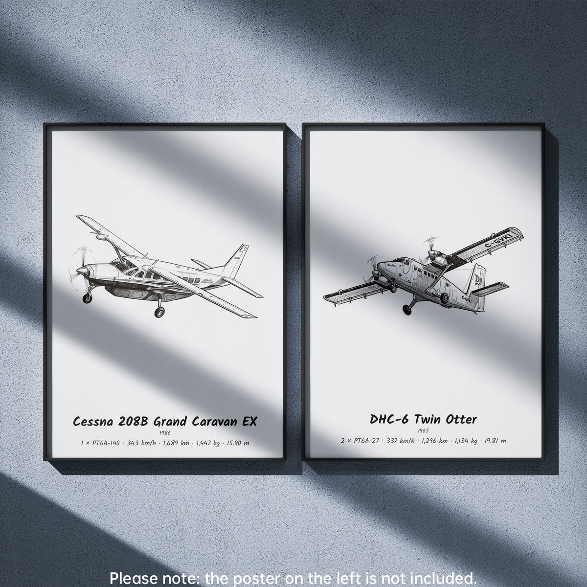 De Havilland Canada DHC-6 Twin Otter Wall Art Paired with Cessna 208B Grand Caravan EX