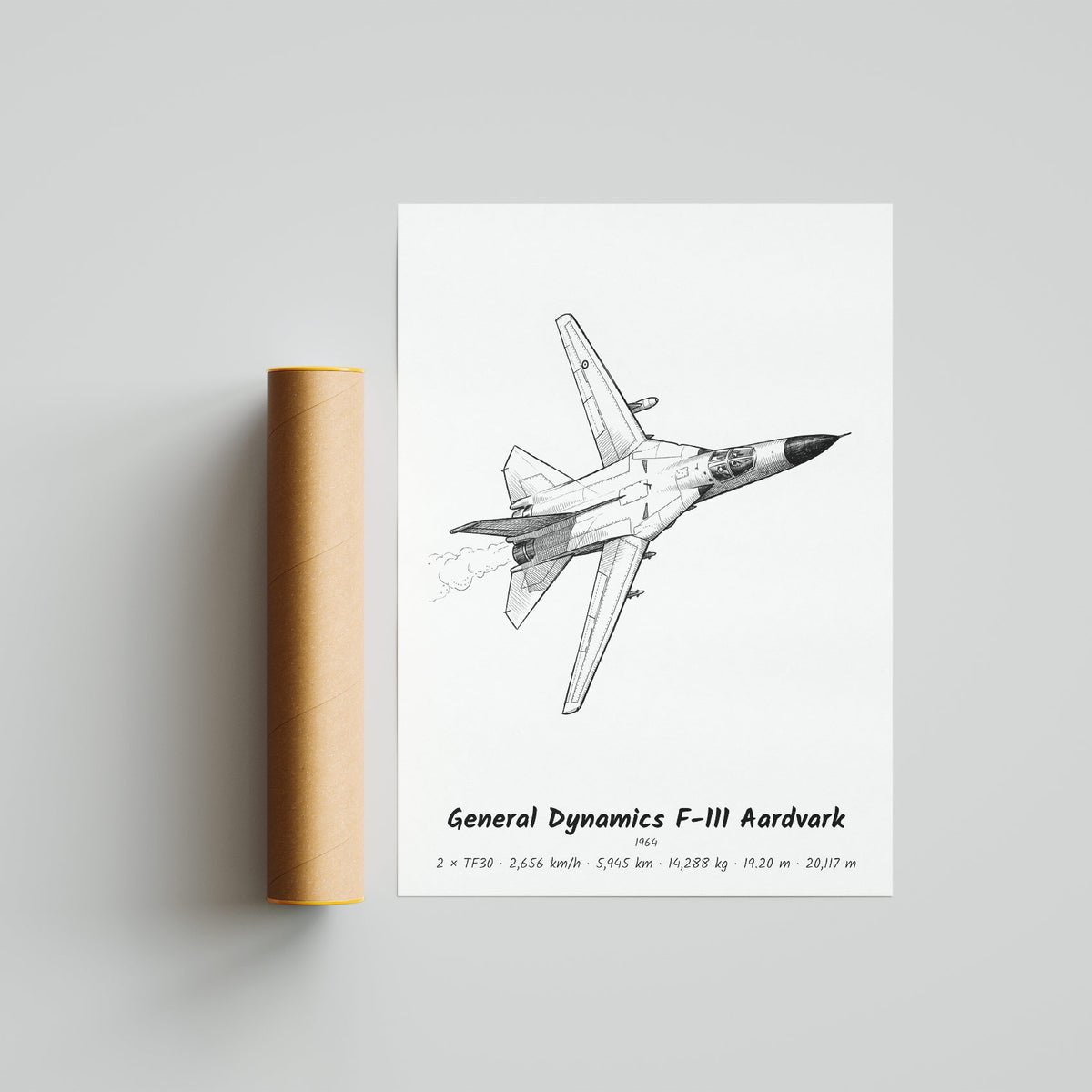 General Dynamics F-111 Aardvark Poster Print