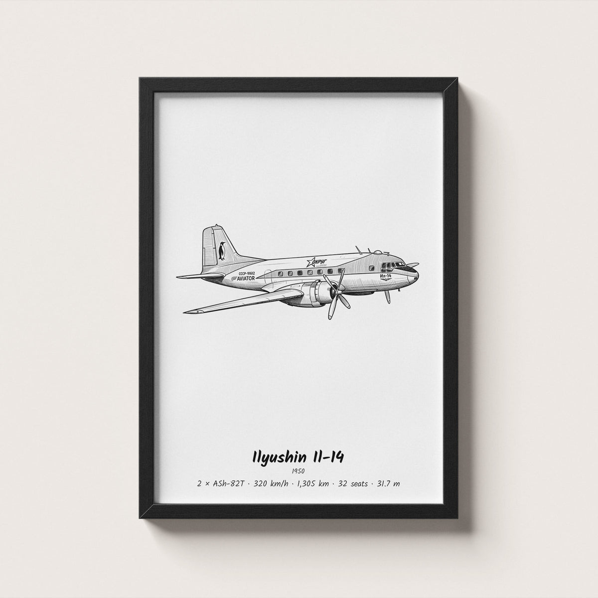 Ilyushin Il-14 Airliner Wall Art