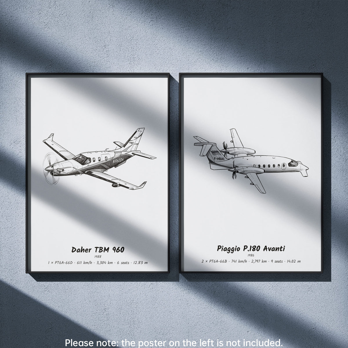 Piaggio P.180 Avanti Wall Art Paired with Daher TBM 960
