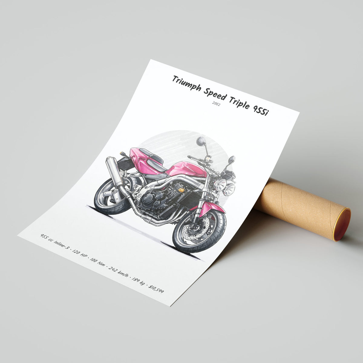 Triumph Speed Triple 955i 2002 Poster
