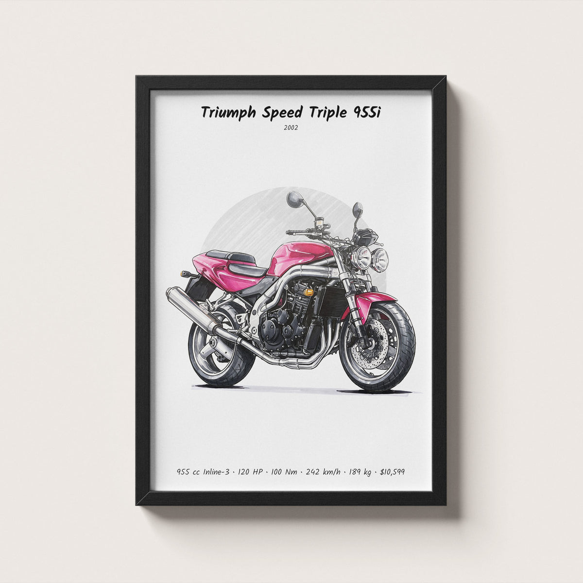 Triumph Speed Triple 955i 2002 Wall Art