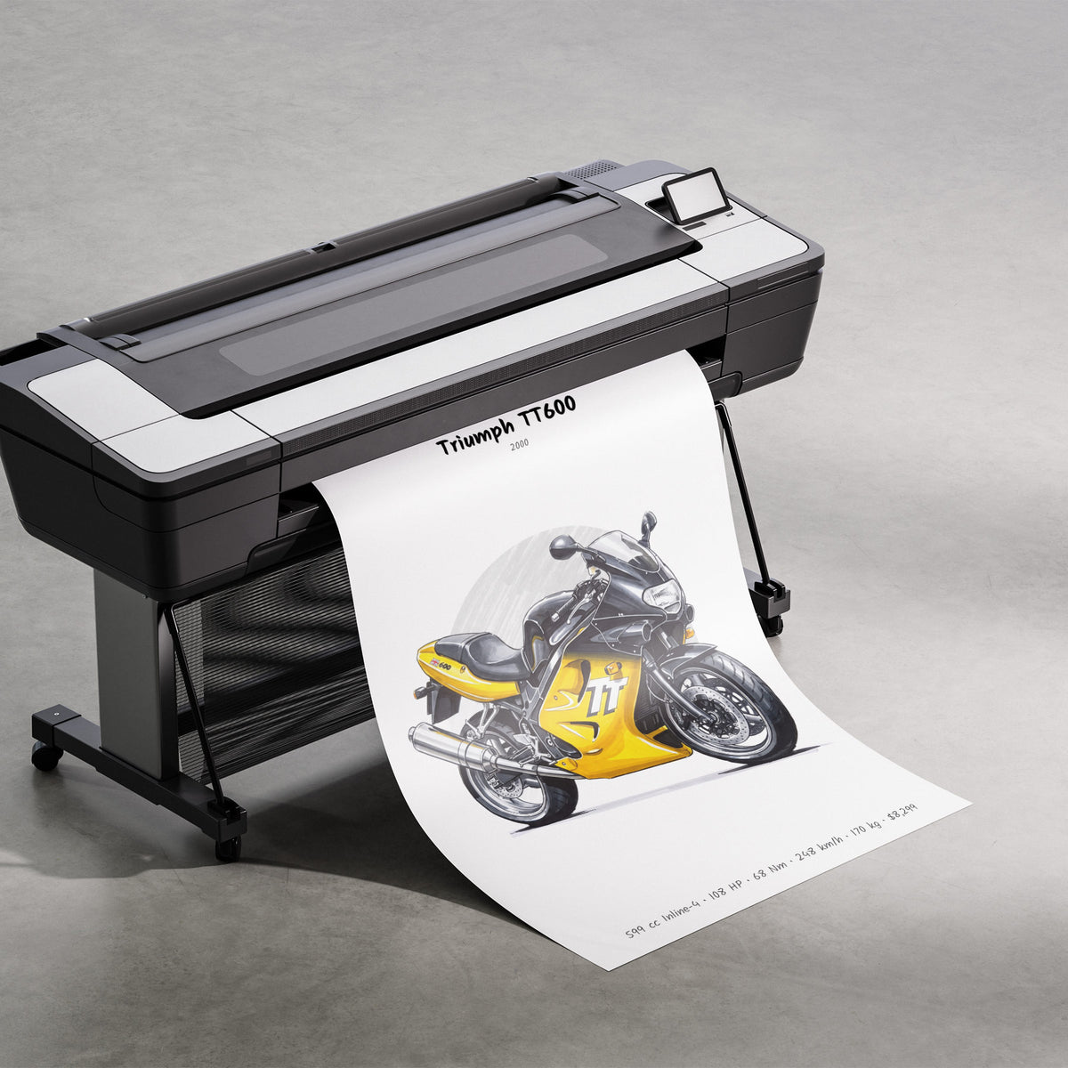 Triumph TT600 2000 Print