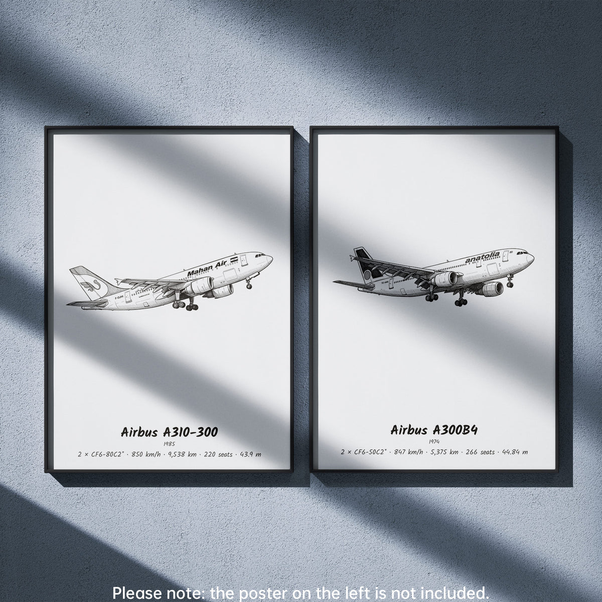 A300B4 Wall Art Paired with Airbus A310-300