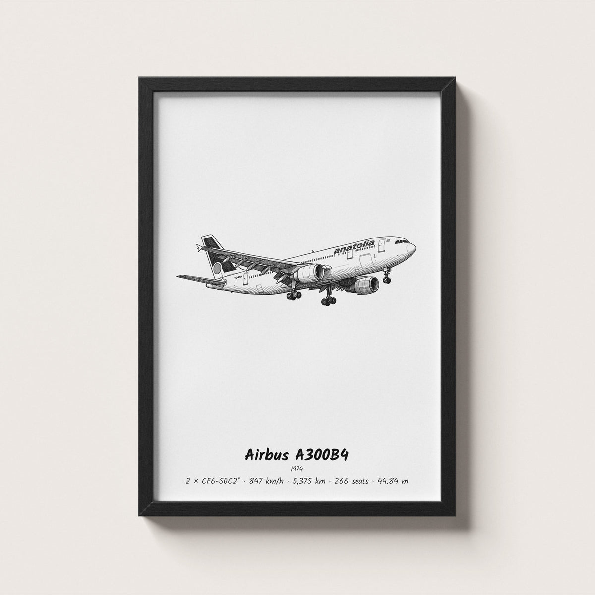 Airbus A300B4 Airliner Wall Art