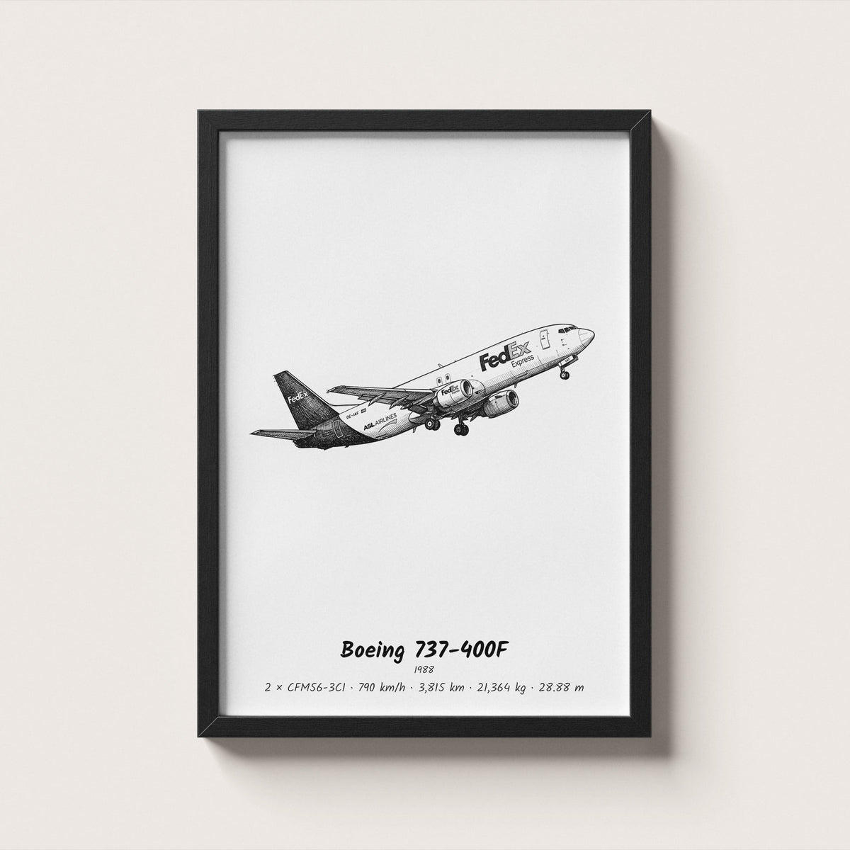Boeing 737-400F Wall Art