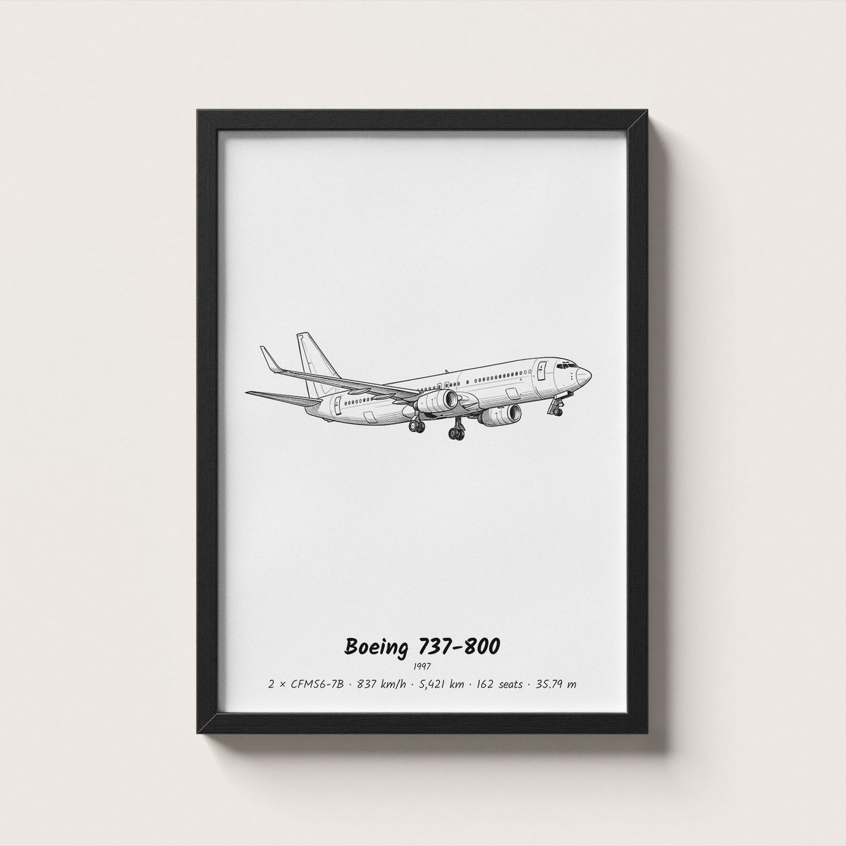 Boeing 737-800 Airliner Wall Art