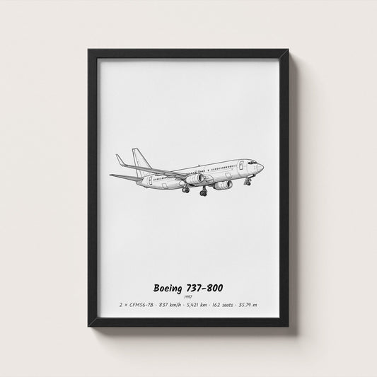 Boeing 737-800 Airliner Wall Art