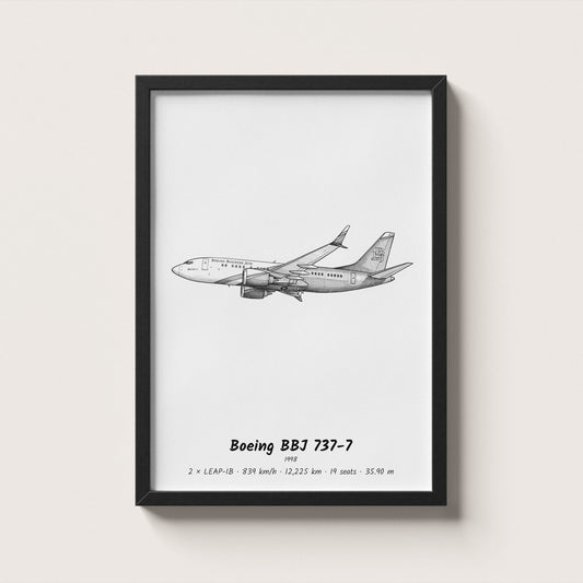 Boeing BBJ 737-7 Wall Art