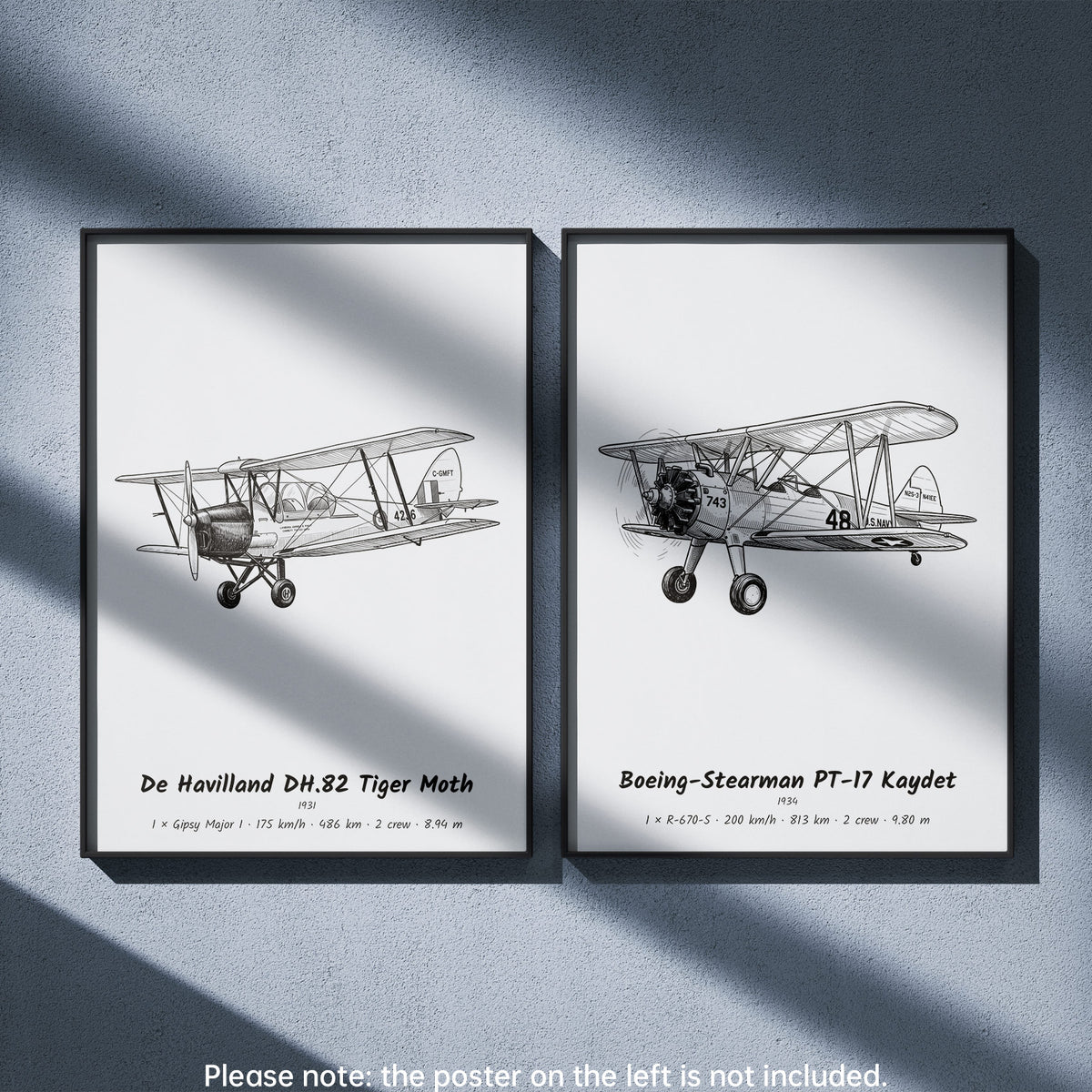 Boeing-Stearman PT-17 Kaydet Wall Art Paired with De Havilland DH.82 Tiger Moth