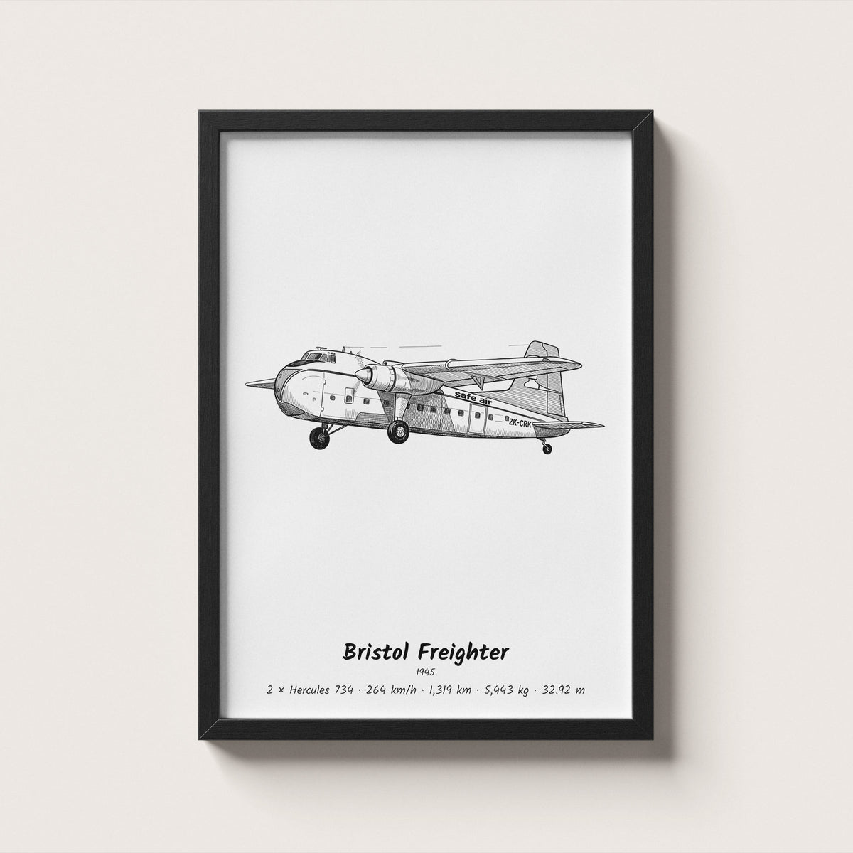 Bristol Freighter Wall Art