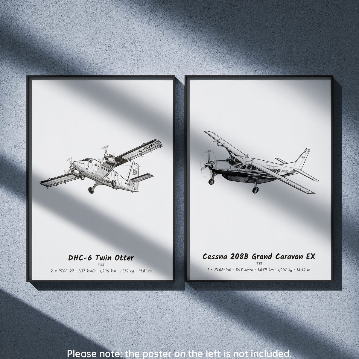 Cessna 208B Grand Caravan EX Wall Art Paired with De Havilland Canada DHC-6 Twin Otter