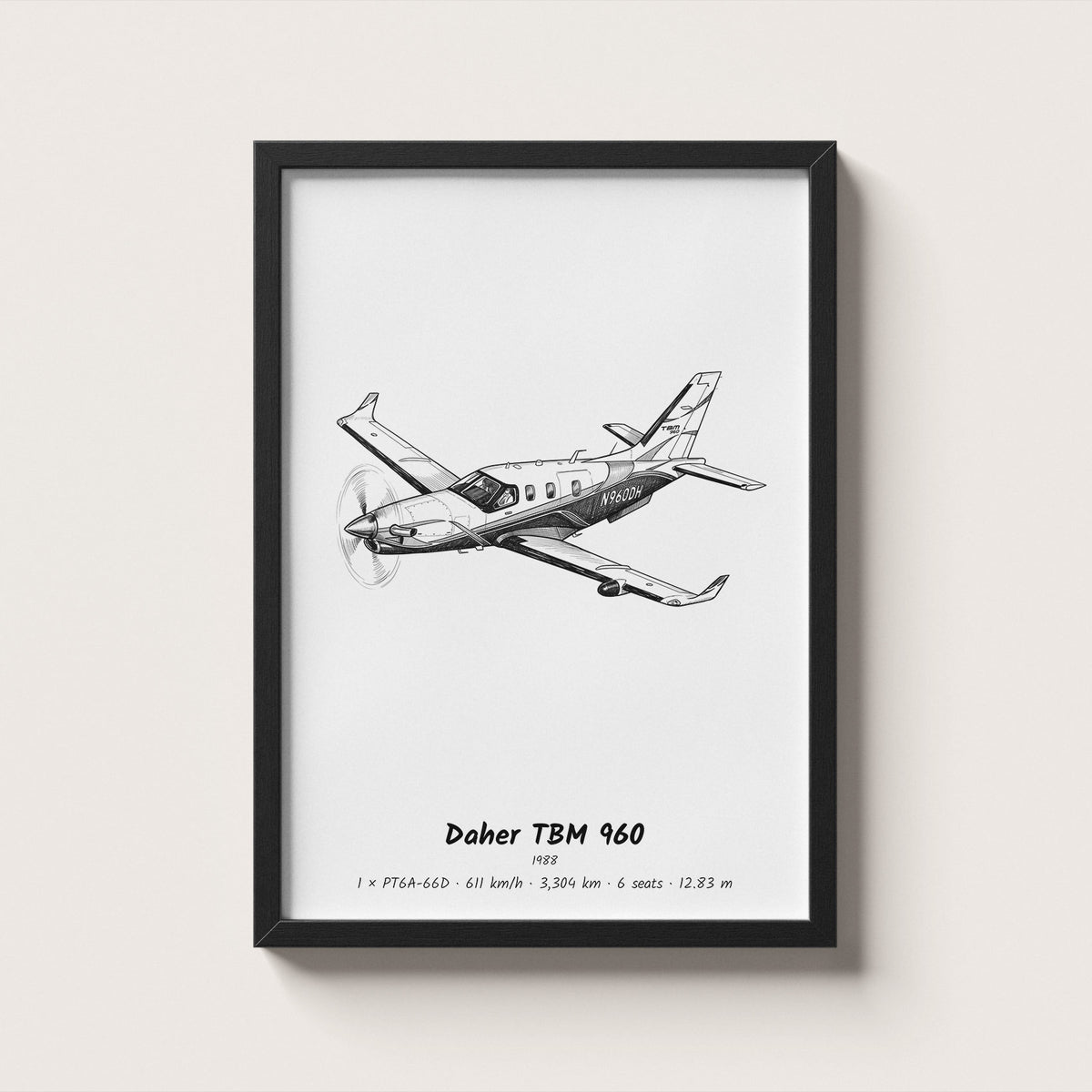 Daher TBM 960 Wall Art