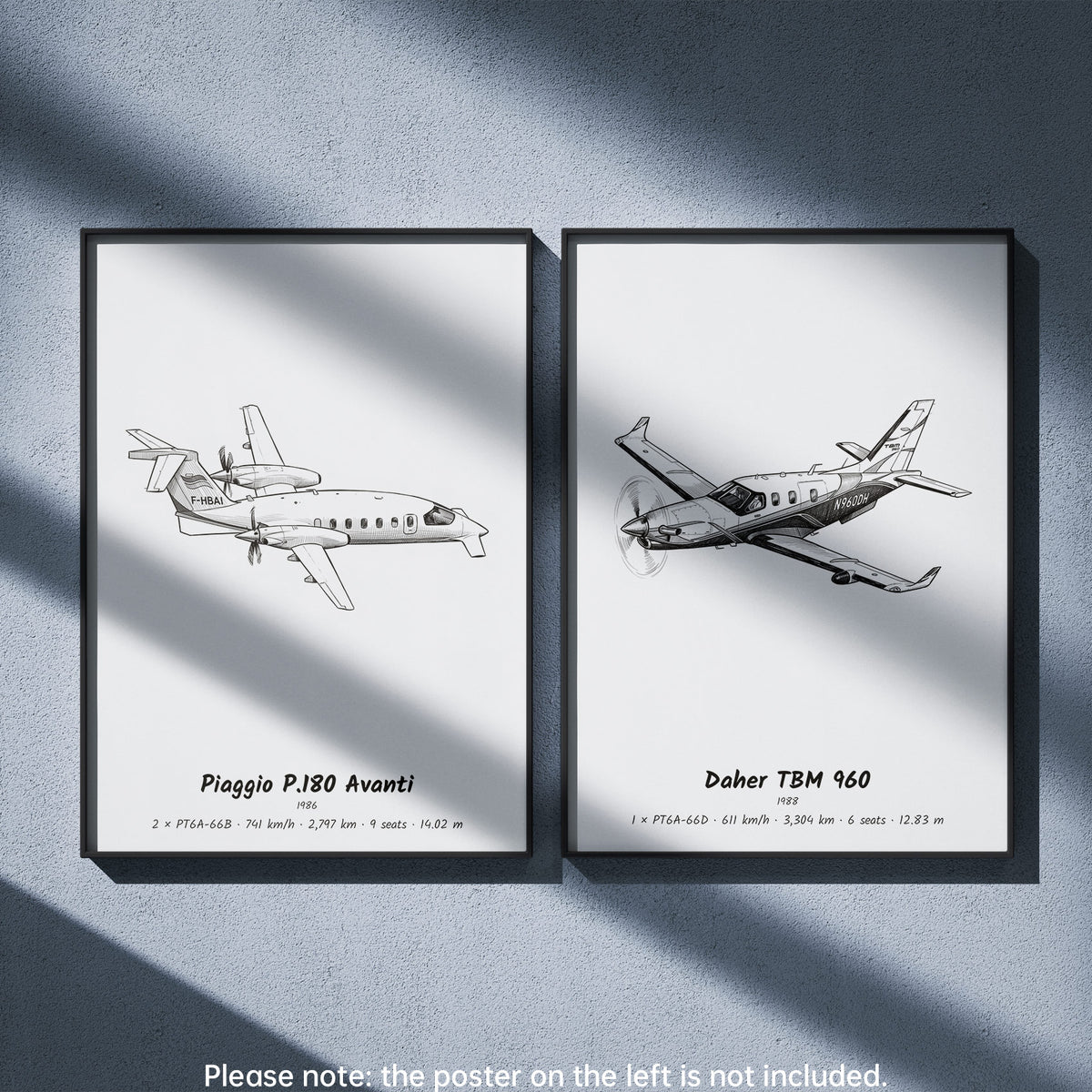 Daher TBM 960 Wall Art Paired with Piaggio P.180 Avanti