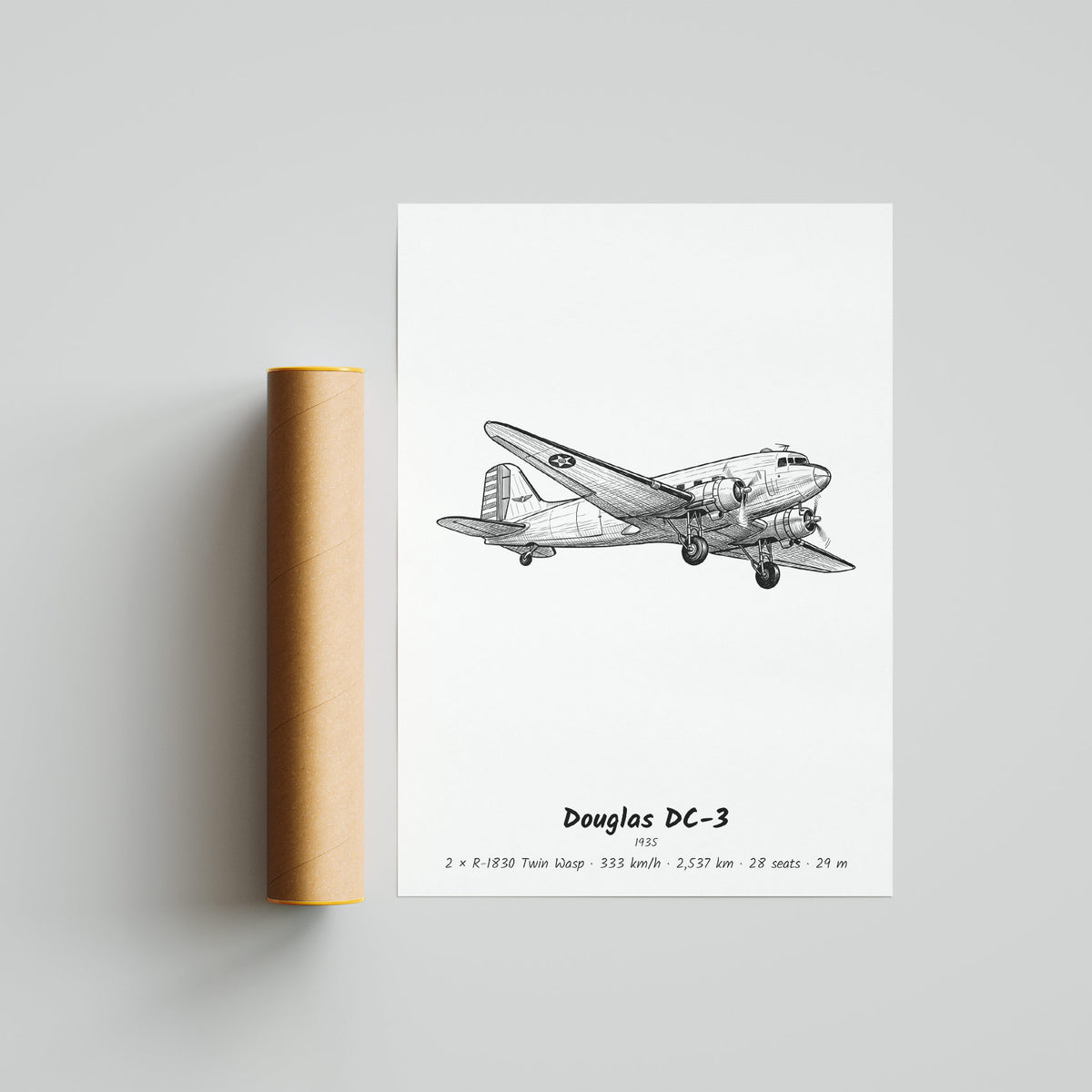 Douglas DC-3 Poster Print