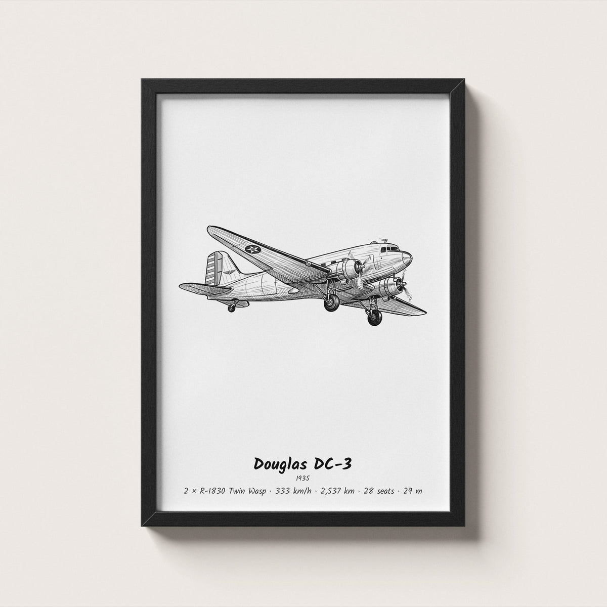 Douglas DC-3 Airliner Wall Art