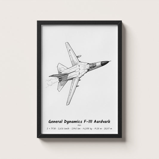General Dynamics F-111 Aardvark Wall Art