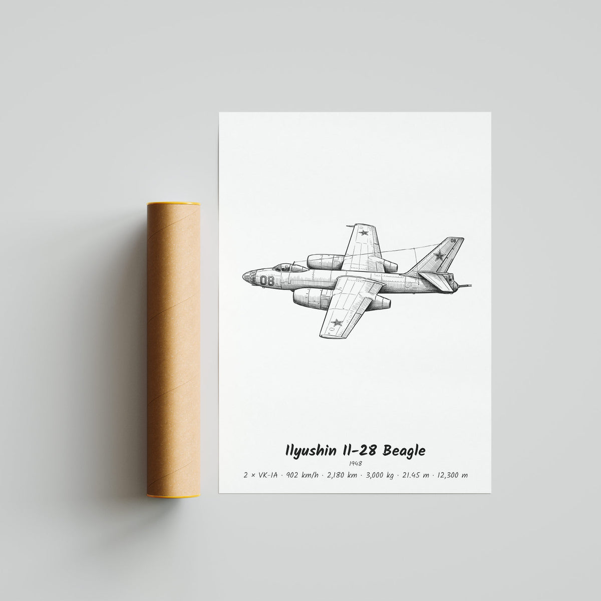 Ilyushin Il-28 Beagle Poster Print