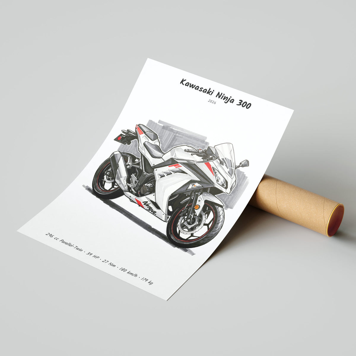 Kawasaki Ninja 300 2026 Poster