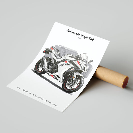 Kawasaki Ninja 300 2026 Poster