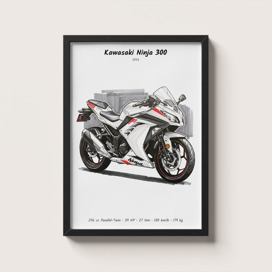 Kawasaki Ninja 300 2026 Wall Art
