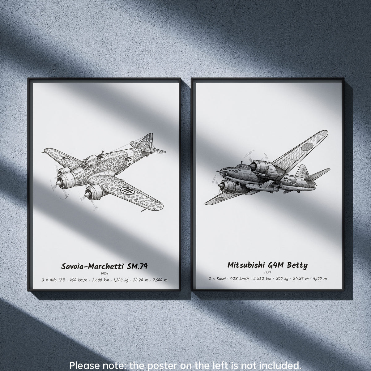 Mitsubishi G4M Betty Wall Art Paired with Savoia-Marchetti SM.79