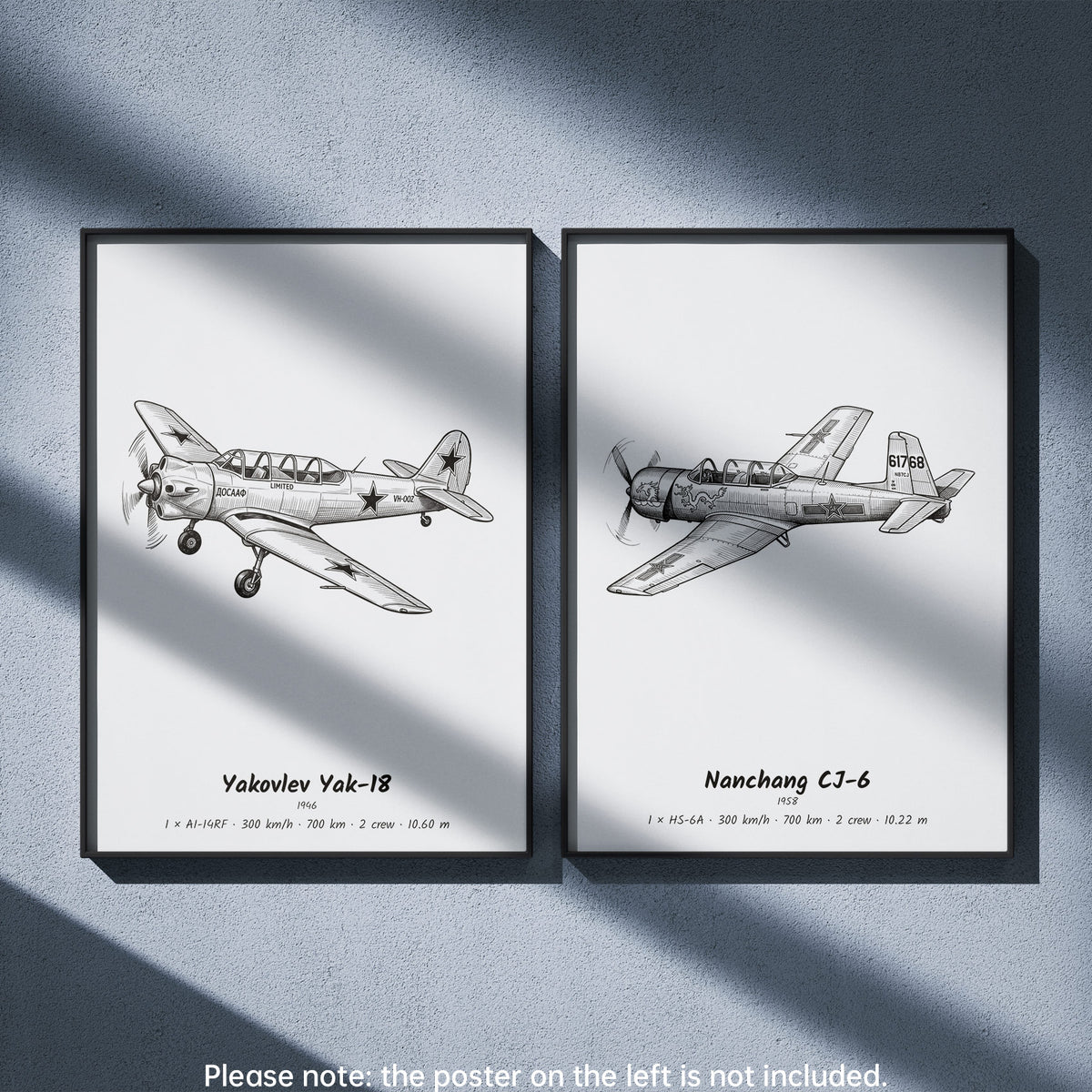 Nanchang CJ-6 Wall Art Paired with Yakovlev Yak-18
