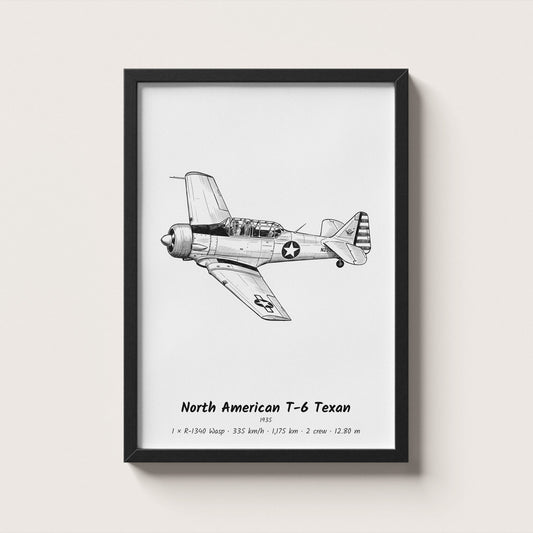 North American T-6 Texan Wall Art