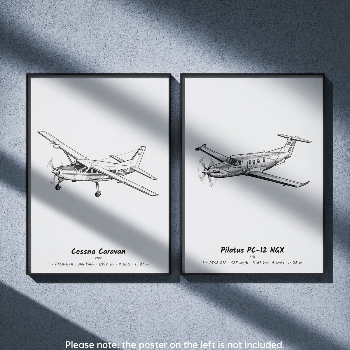Pilatus PC-12 NGX Wall Art Paired with Cessna Caravan