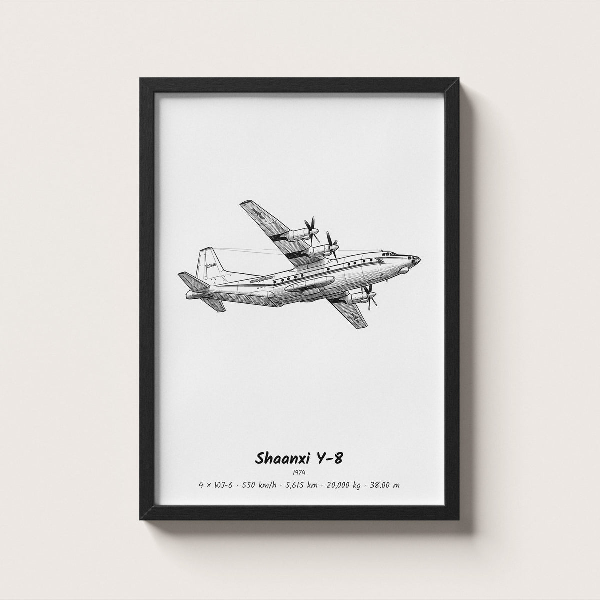 Shaanxi Y-8 Wall Art