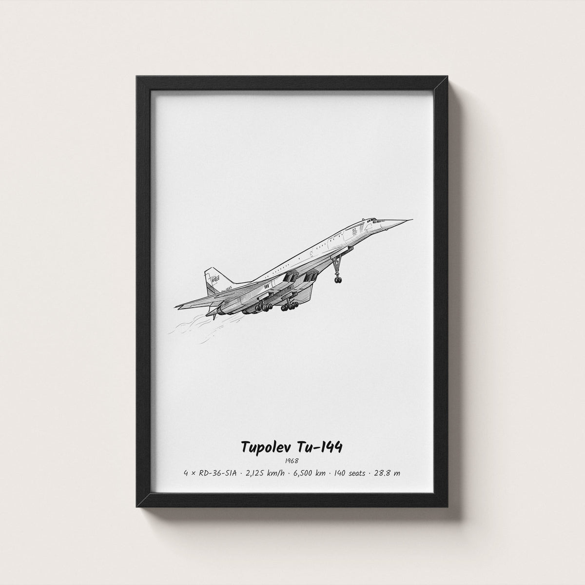 Tupolev Tu-144 Airliner Wall Art